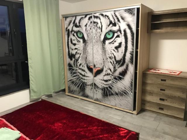 Appartamento Mezadler Košice Esterno foto